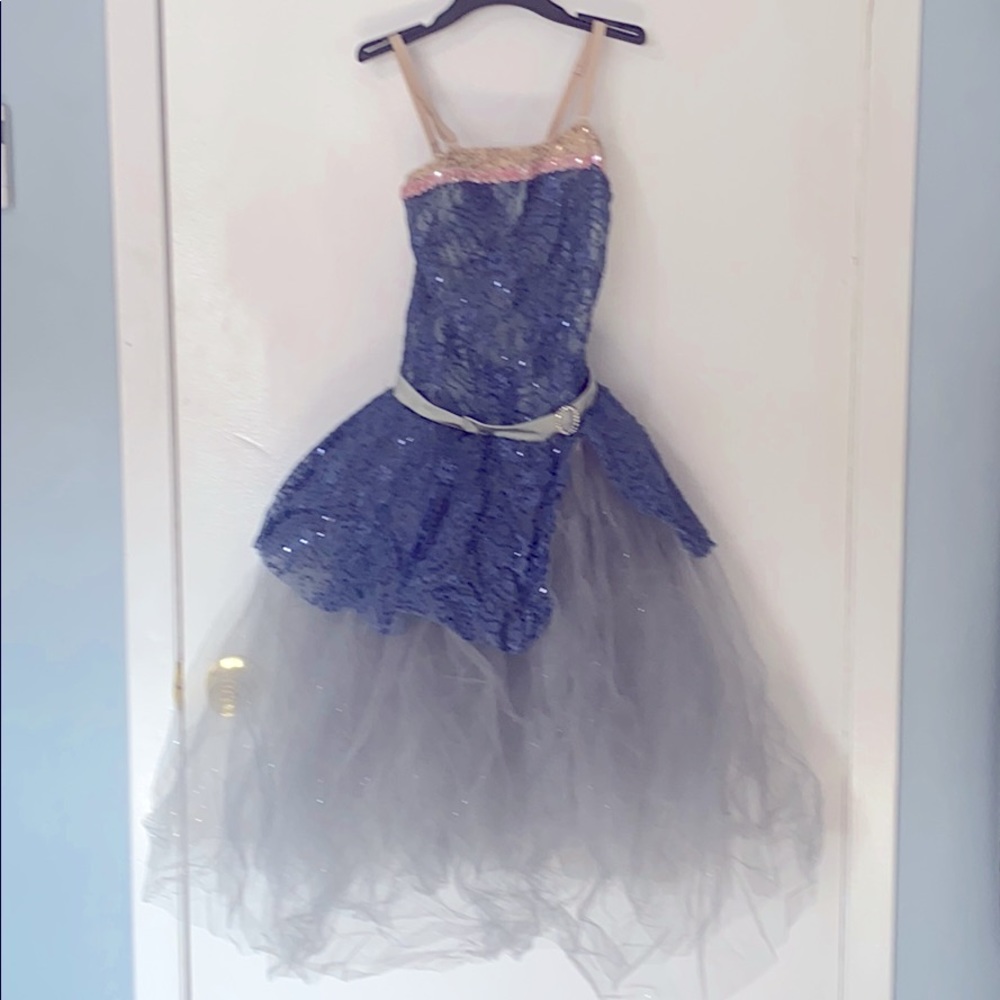 “Cinderella “ Like Costume
